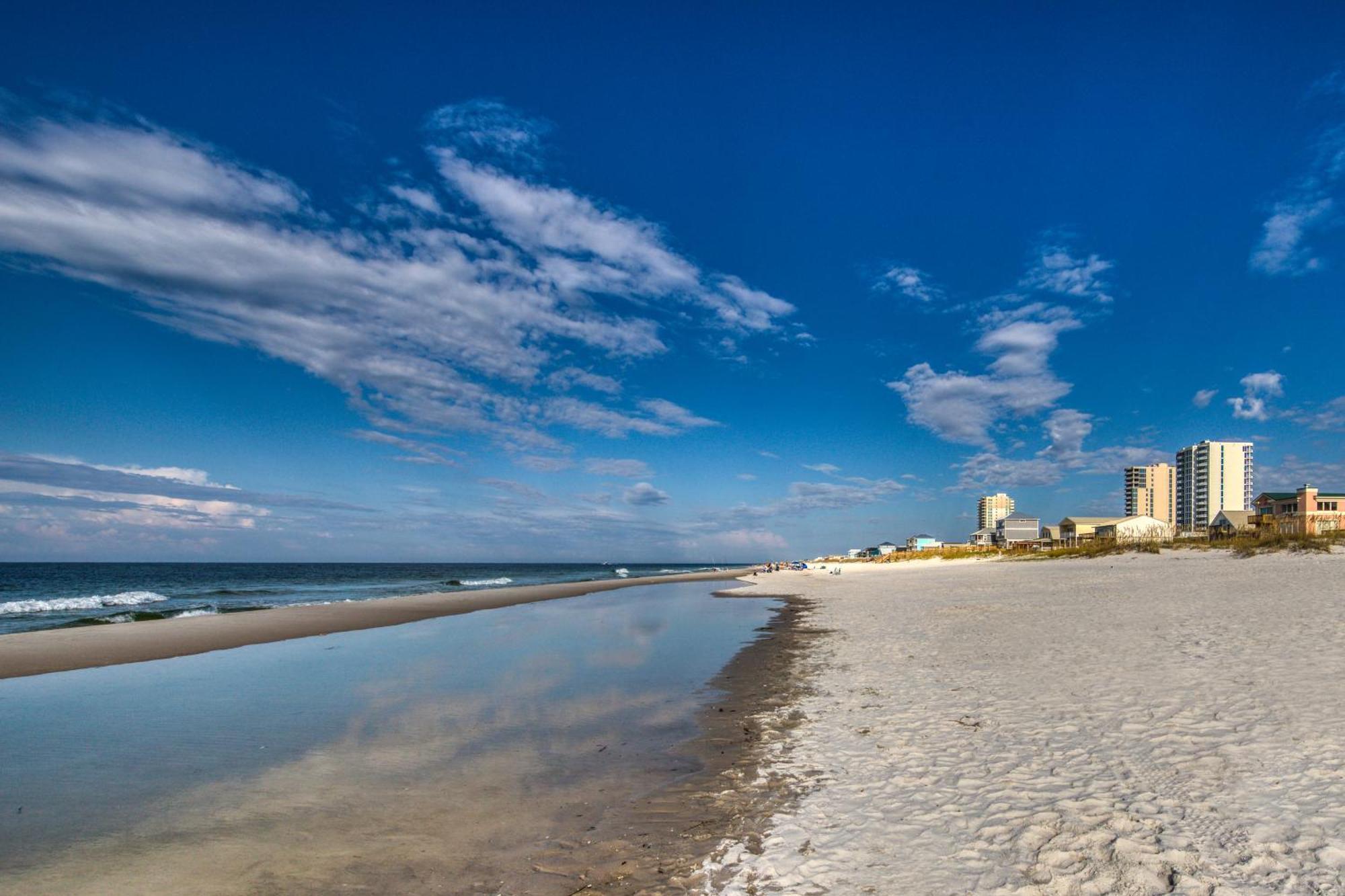 Gulf Shores Surf & Racquet Club Condos II Номер фото
